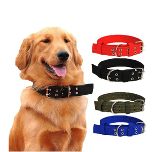 Actory: hollesale, IER & amp; og & amp; ollar & amp; ID & amp; IG & amp; og & EAD - Product Image 2