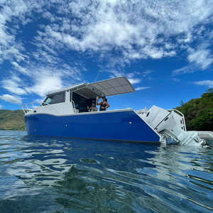 Bateau de pêche en aluminium CAT de 8,8 m, catamaran de pêche en alliage <span class=keywords><strong>d</strong></span>'aluminium de 29 pieds de qualité supérieure à <span class=keywords><strong>prix</strong></span> avantageux - Product Image 3