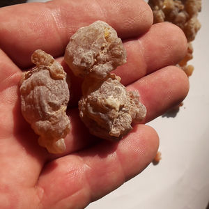 批发茹香纯干红hojari阿曼乳香谷物出售 - Product Image 3