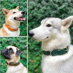 Vente en gros de colliers TPU à motif uni imprimables personnalisés Ensemble de laisse pour chien de chasse étanche Pitbull Fournitures pour animaux de compagnie Fourrure en cuir - Product Image 4