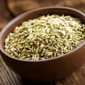 Factory Wholesale Customized Natural Spices High Quality Fennel Seeds Price Spices Seed