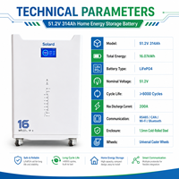 Batterie solaire hybride 16 kWh 51,2 V 314 Ah avec Wi-Fi, 8000 cycles, sans entretien, fonctionnement sécurisé, empilable
