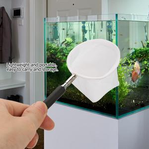Thiết Bị Hồ Cá <span class=keywords><strong>3D</strong></span> Pha Lê Tôm Câu Cá <span class=keywords><strong>Net</strong></span> Mở rộng Rod Câu Cá Nhỏ Dày đặc Chiến Đấu <span class=keywords><strong>Net</strong></span> Cá <span class=keywords><strong>Net</strong></span> - Product Image 4