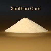 Xanthan Gum Kelas API dengan Viskositas Tinggi untuk Cairan Pengeboran dengan Kecepatan Geser Rendah |   Pengubah Rheologi untuk Perbaikan & Penyelesaian (Workover & Completion)
