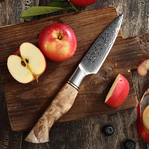 Coltello da Cucina HEZHEN in Acciaio Damascato per Frutta con Manico in Legno di Sicomoro Figurato - Product Image 1