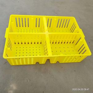 กล่องขนส่งลูกไก่แรกเกิด กล่องพลิกตัวลูกไก่ กล่องพลาสติกสำหรับขนส่งลูกไก่ - Product Image 3