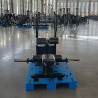 Machine à kickback pour fessiers, directement de l'usine, pour clubs de fitness commerciaux, commandes en gros et projets de logo personnalisé
