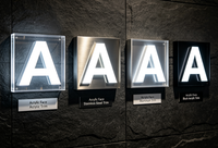 Lettres en acier inoxydable personnalisées avec éclairage frontal LED, étanches IP65, pour bureaux, mariages, magasins, maisons, bâtiments, voitures, hôtels