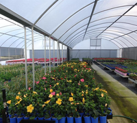 Serre Multispan au meilleur prix Structure en acier galvanisé à chaud Serre agricole personnalisée de grande taille de qualité supérieure