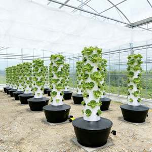 Torre Hidropónica de Una Sola Capa con 6/7 Orificios, Sistema de Cultivo Vertical Compacto sin Suelo para Interiores y Balcones - Product Image 1