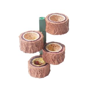 Model pembuluh darah Model arteri manusia Model FRT318 penyakit kardiovaskular 4 buah - Product Image 1