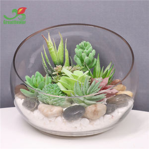 Flocage de fleurs artificielles plantes succulentes texturées réalistes pics Faux Aloe <span class=keywords><strong>Cactus</strong></span> plante en vrac bricolage - Product Image 3