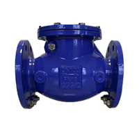 Clapet anti-retour à bille coulissant en fonte ductile GGG50 HQ41X PN16 à brides pour conduite d'eau usée DN50 DN300