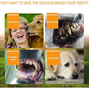 Cepillo de dientes para dedos de mascotas Productos de limpieza para gatos y perrosCepillo de dientes de limpieza oral Cerdas de silicona - Product Image 4