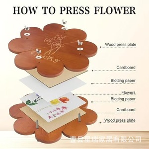 Kit para hacer flores prensadas en madera con herramientas y papel para manualidades y preservación de especímenes - Product Image 5