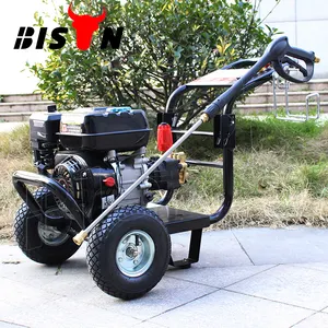 BISON(CHINA) 220Bar Gasoline Pressure Washer 9Hp 2800 Psi Gas Engine 230Bar Powered