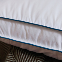 Oreiller en plumes blanches avec logo personnalisé, emballage sous vide, taille sélectionnée (Queen, King, Standard), garnissage en duvet d'oie, doux, pour hôtel