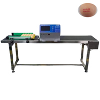 Stamp Date Printer Inkjet Egg Stamping Machine