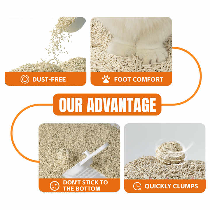 Beautiful view of Floating Dust Free Cat Litter In Bulk Options