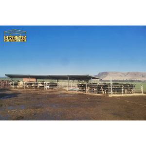 Dingtuo Dingtuo-01 Hochbelastbare Vorgefertigte Stahlkonstruktion Viehunterstand Lagerhaus Kostengünstige Schaf-/Rinder-/Ziegenschuppen - Product Image 4