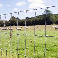 Panneaux galvanisés à haute résistance personnalisés de clôture de joint de charnière de bétail de 6ft 7ft 100m panneaux de clôture de bétail de ferme/barrière électrique pour le bétail