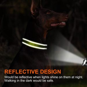 Hiphop <span class=keywords><strong>Pet</strong></span> Venta caliente reflectante transpirable Nylon <span class=keywords><strong>Pet</strong></span> Dog Collar ajustable suave acolchado collares de seguridad para perros pequeños y grandes gatos - Product Image 3