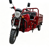 Mini moto à 3 roues de 150 cm3 avec moteur Loncin, 2 places, tricycle personnalisable pour la livraison de petites marchandises