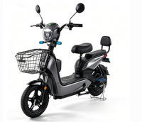 Vélo Électrique Adulte 2 Places 2026, Moteur Brushless Haute Vitesse 350W, Absorption des Chocs, Trottinette Électrique pour Trajets Quotidiens