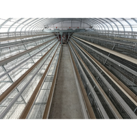 Cage à poules pondeuses de type A à alimentation automatique, avec nettoyage manuel du fumier par manivelle, pour élevage en batterie, à vendre