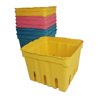 Emballage personnalisé en pâte de papier, moule à sec, biodégradables, ensemble à thé personnalisé, Mini boîte écologique réutilisable doublée