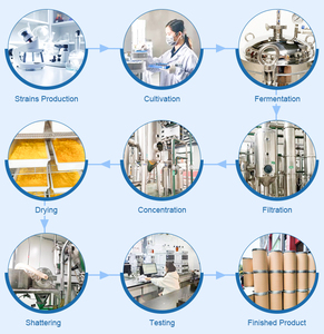 Havenova Supply Probiotica 10-100 miljard CFU/g Vriesgedroogde Lactobacillus <span class=keywords><strong>Gasseri</strong></span> ter ondersteuning van de vrouwengezondheid Probiotica poeder - Product Image 3