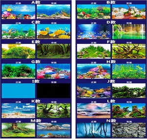 Groothandel Dubbele Enkelzijdige <span class=keywords><strong>Aquarium</strong></span> Decoratieve Natuur Imiteert <span class=keywords><strong>Aquarium</strong></span> Achtergrond - Product Image 5