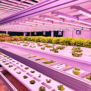 Système de culture hydroponique et aquaponique automatique Skyplant pour micro-légumes, avec serre motorisée et conteneur de culture pour plantes, pour usage commercial en intérieur - Product Image 5