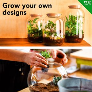 DIY Starter <span class=keywords><strong>Terrarium</strong></span> Kit Selbst haltende Garten flasche Ökosystem Moos Boden Aktivkohle Steine Vase Dekor Werkzeuge-Ganz Glas - Product Image 6