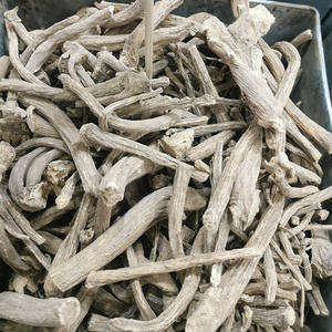 Raíz de Inula <span class=keywords><strong>Helenium</strong></span> (Elecampane) Seca al por Mayor para la Venta - Product Image 4