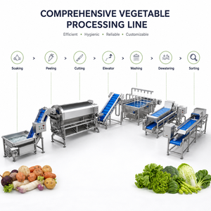 Linea di Produzione Multifunzionale <span class=keywords><strong>per</strong></span> Asciugatura e Risciacquo a Ciclone ad Alta Pressione <span class=keywords><strong>per</strong></span> Erbe Biologiche Fresche di Fattoria e Broccoli - Product Image 4