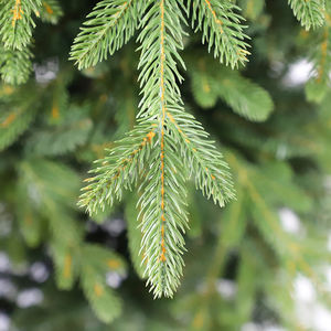 Pré décoré pour l'arbre de Chrsiatmas Oem dans un arbre de Noël unique pour la décoration extérieure ou intérieure - Product Image 2