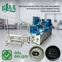 Marqueur laser à fibre automatique en ligne pour le marquage de couvercles de canettes en aluminium, avec codes GS1 et DataMatrix, pour Chestny Znak Honest Label