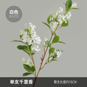 Nuovi <span class=keywords><strong>Fiori</strong></span> di Lillà Artificiali 2024, <span class=keywords><strong>Fiori</strong></span> di Lillà di Alta Qualità per Matrimoni <span class=keywords><strong>e</strong></span> Decorazioni Domestiche, <span class=keywords><strong>Fiori</strong></span> Decorativi in Vendita - Product Image 4