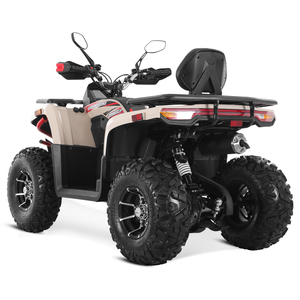 Quadricycle Tao Motor 2025 tout-terrain électrique à injection de carburant automatique 250cc - Product Image 5