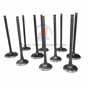 Hete Verkopende Hoge Kwaliteit Nissan Vq25 Inlaat & Uitlaat Kleppen 13202-aq800/13201-eg200/13201eg200 Vq25de Met Klepstoters - Product Image 2