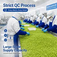 Oferta Especial: Edamame Congelado Salado en Cápsulas OEM, Suministro Directo de Fábrica, Soja Verde IQF de Alta Calidad para Venta al por Mayor