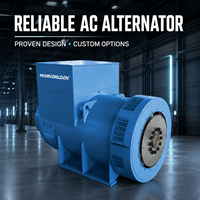 Régulation de tension AVR 400 kVA 320 kW Alternateur AC industriel triphasé 50 Hz style Stanford