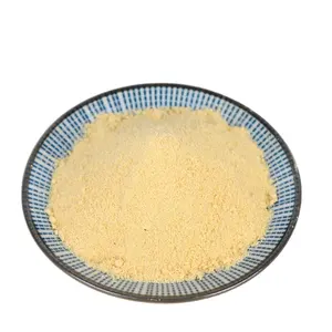 Chiti Super Food Suministro de fabricación de polvo de fruta de mango de alta calidad Gran sabor para bebidas Polvo de pulpa de mango secado por pulverización - Product Image 1
