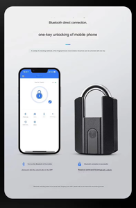 Cadenas intelligent biométrique à combinaison et empreinte digitale avec clé, idéal pour la salle de sport et le rangement - Vente en gros - Product Image 3