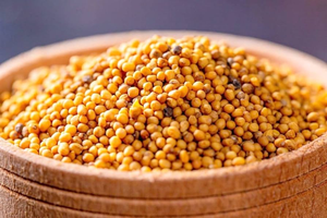 Achetez des graines de moutarde jaunes entières, naturelles, qualité alimentaire, haute pureté, qualité export, en vrac, en provenance d'Inde - Product Image 3