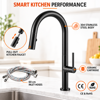 Robinet de cuisine en acier inoxydable chromé, monocommande, à arc haute rotation 360°, avec douchette extractible et fixation sur comptoir