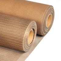 Hot Selling China Leverancier Transportband Voor Heteluchtdroger Ptfe Open Mesh Transportband