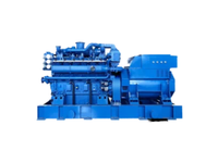 Korrosionsbeständiges 110KW Offshore-Gasgenerator-Set Salzsprühresistent für Marineplattformen & Inselstromversorgung