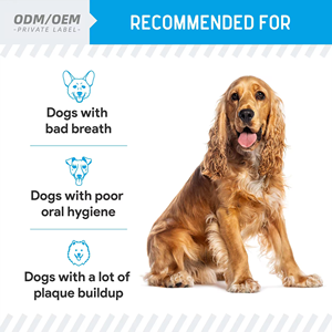 Petop - Suplemento en Polvo Natural para Gatos, para la Eliminación de Bolas de Pelo, Limpieza Dental y Refuerzo del Sistema Inmunitario, con Perejil y Menta, para Digestión Sensible - Product Image 6